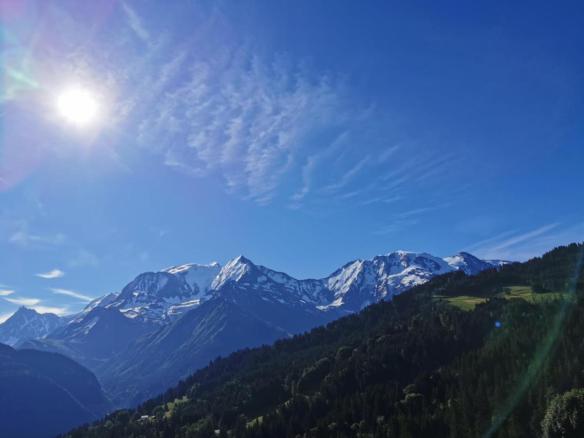 Duo Des Alpages Vue Exceptionnelle Sur Le Mont Blc Apartment Saint-Gervais-les-Bains Bagian luar foto