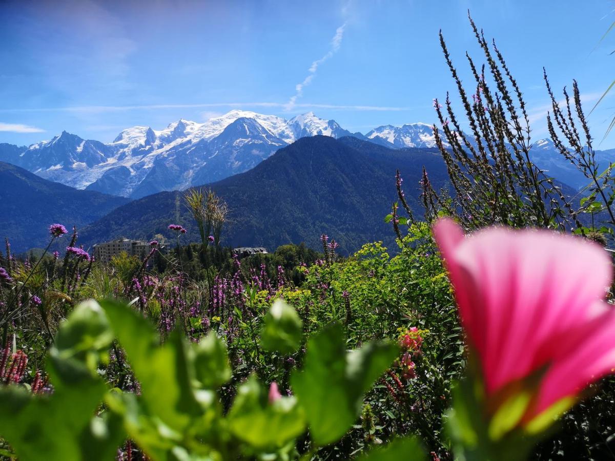 Duo Des Alpages Vue Exceptionnelle Sur Le Mont Blc Apartment Saint-Gervais-les-Bains Bagian luar foto