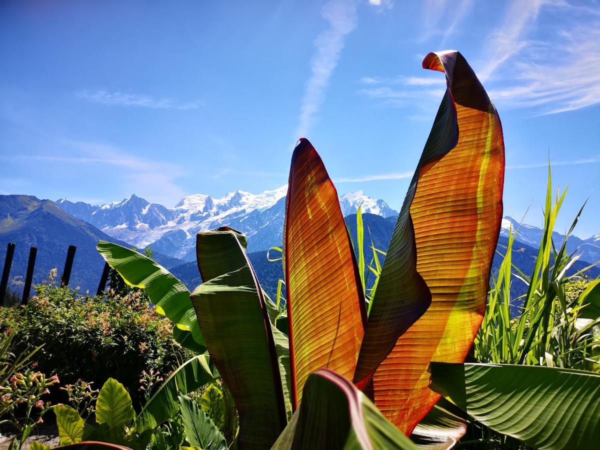Duo Des Alpages Vue Exceptionnelle Sur Le Mont Blc Apartment Saint-Gervais-les-Bains Bagian luar foto